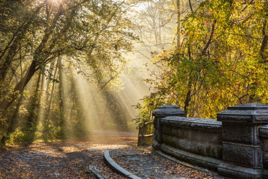 Forbidden Drive | Photo courtesy Circuit Trails