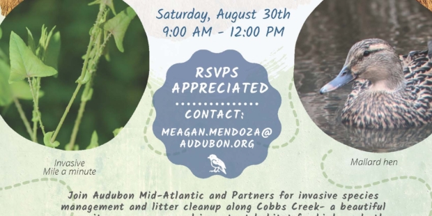 Whitby Meadow Maintenance & Clean up Day