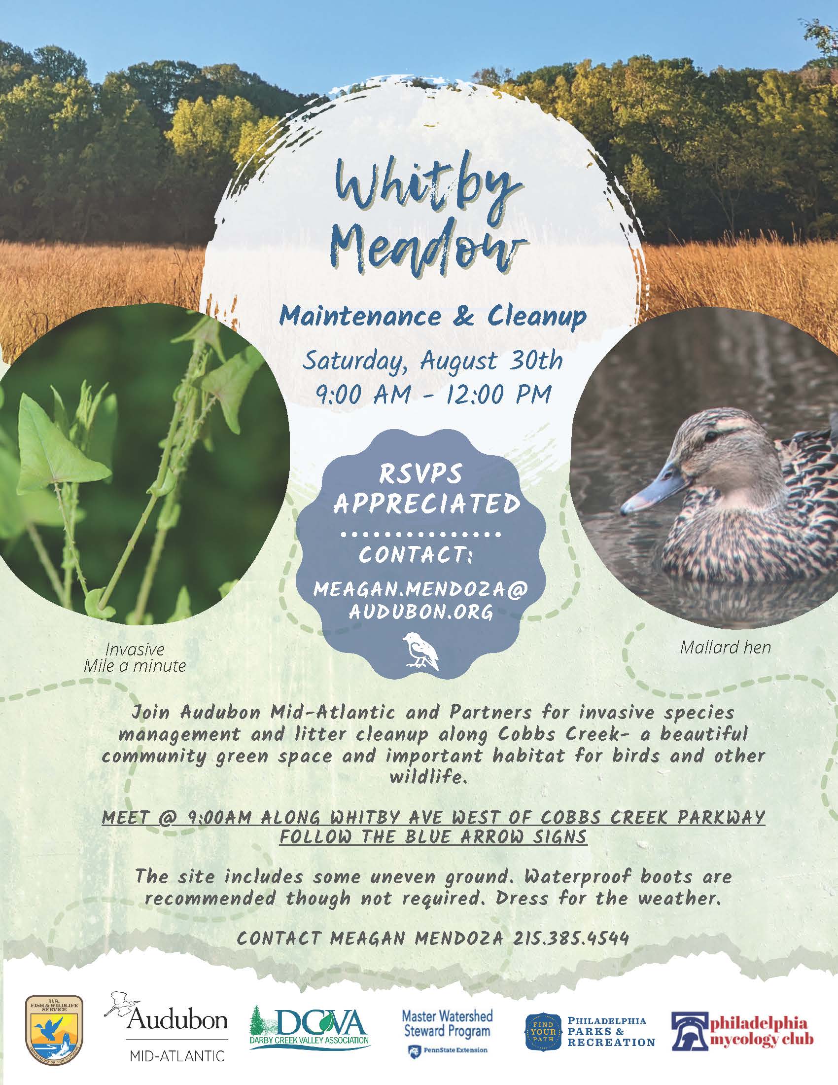 Whitby Meadow Maintenance & Cleanup