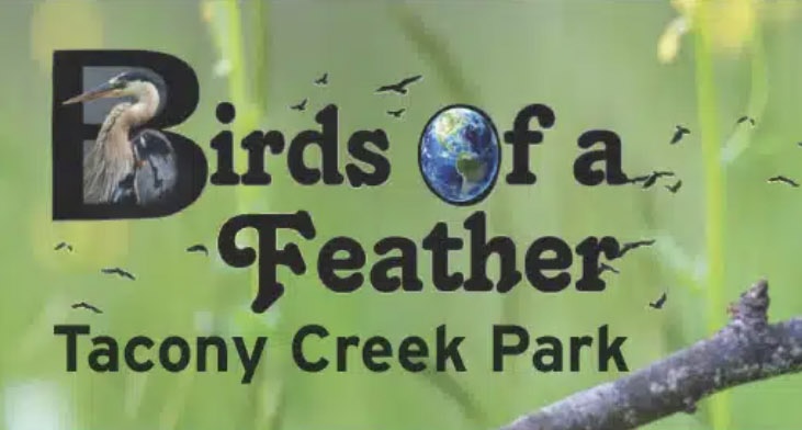 Birds of a Feather event in Tacony Creek Park