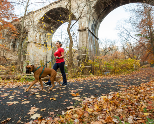 Woman in a red shirt walking a dog on a trail that has leaves on the ground