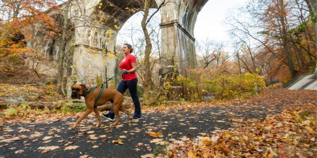 Woman in a red shirt walking a dog on a trail that has leaves on the ground