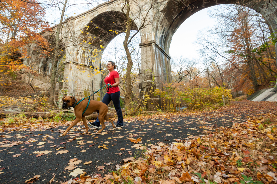 Woman in a red shirt walking a dog on a trail that has leaves on the ground