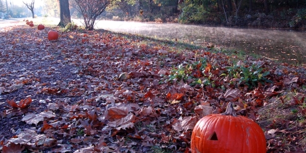 Canal-o-ween at the National Canal Museum