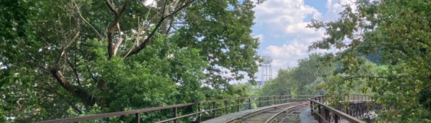 The current status of the Mule bridge, a rail bridge with trees on both sides