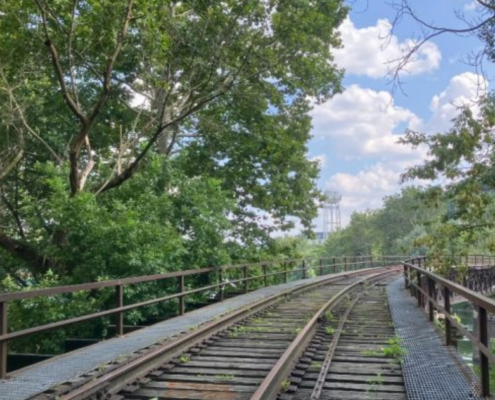 The current status of the Mule bridge, a rail bridge with trees on both sides