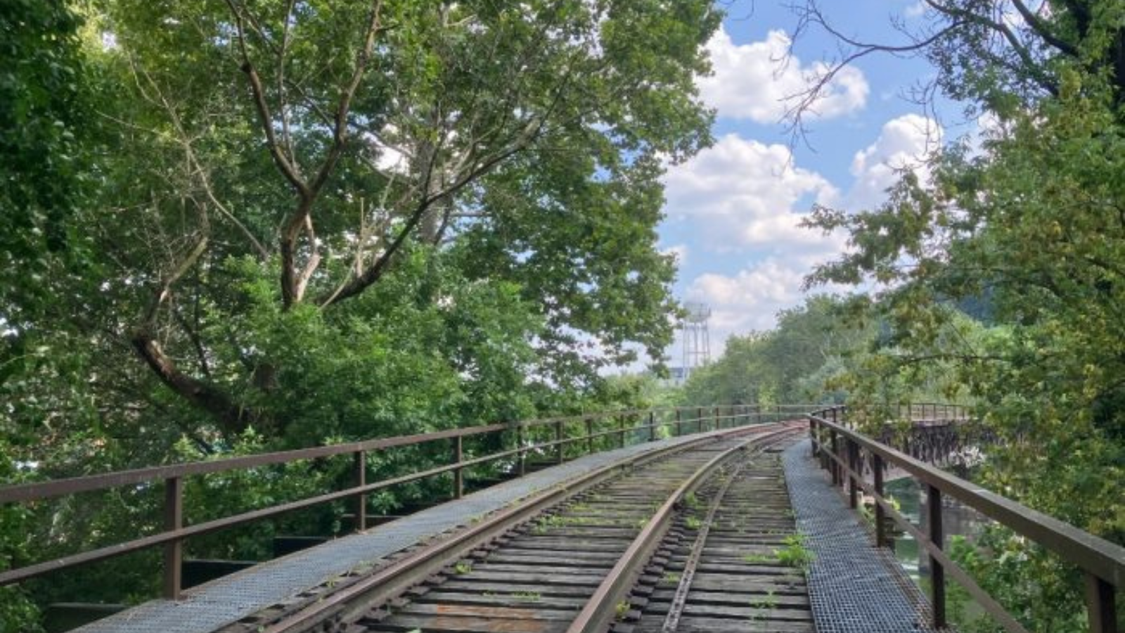 The current status of the Mule bridge, a rail bridge with trees on both sides