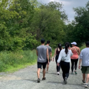 group of men and women walking along a gravel trail between rows of trees
