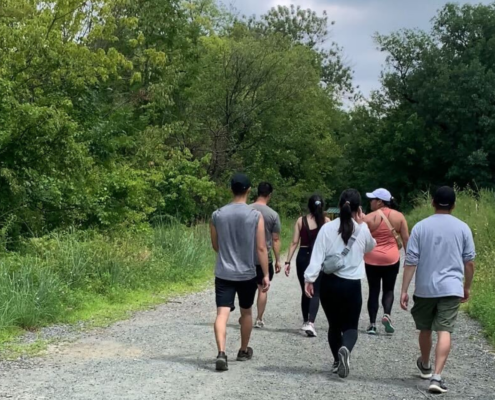 group of men and women walking along a gravel trail between rows of trees