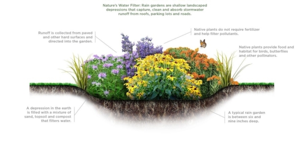 Graphic by NJ nature conservancy