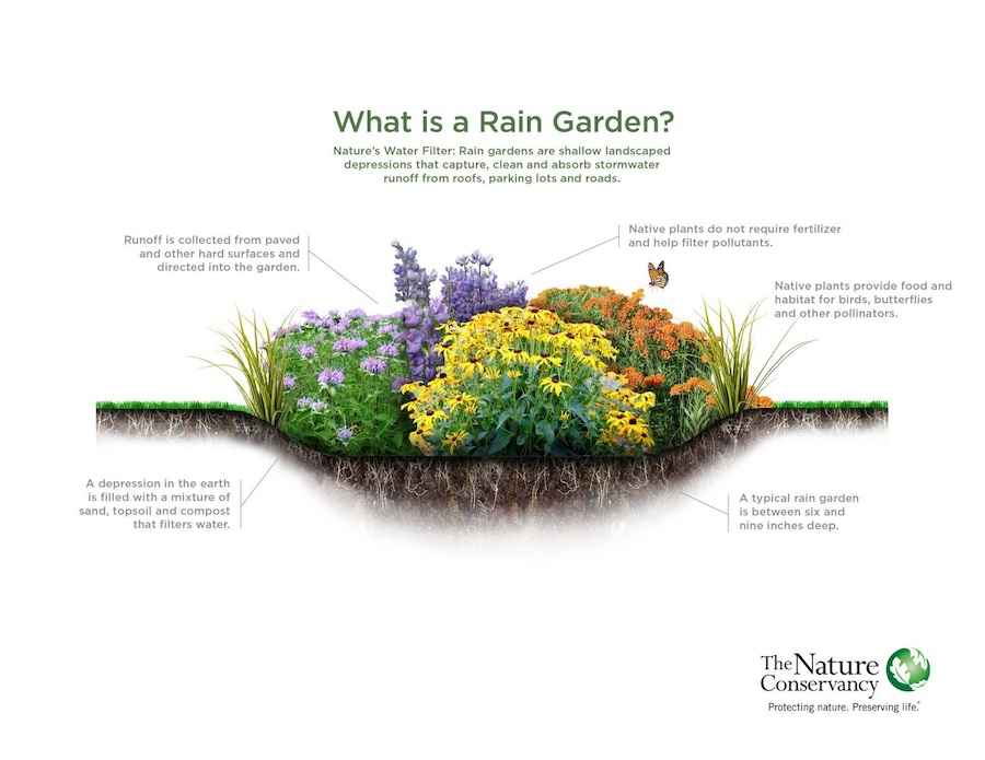 Rain Garden Workshop