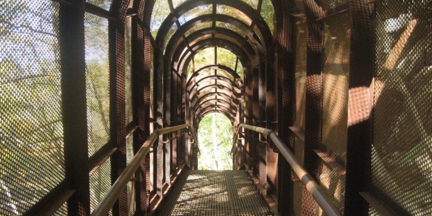 Fitness Hike with Shuchi Rodgers and Debbie Hoellein