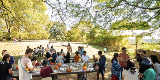 Harvest Fest at Batram's Garden
