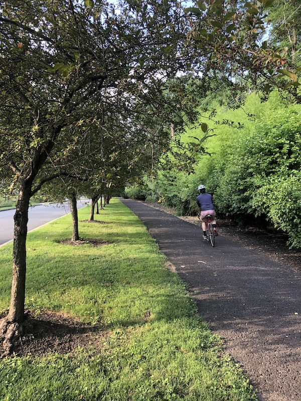 Bicyclist on New Jersey's Johnson Trolley Trail | Photo by Anya Saretzky