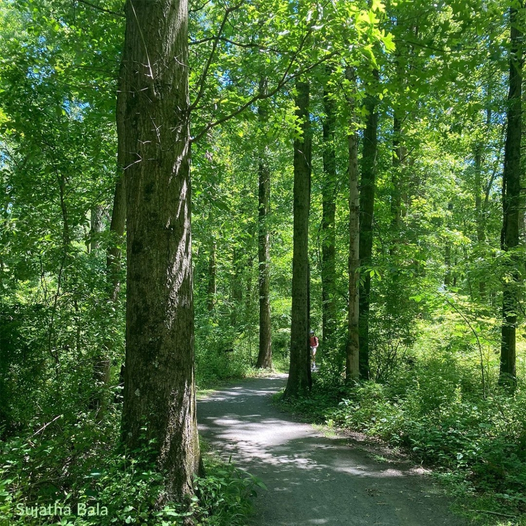 Lawrence Hopewell Trail 