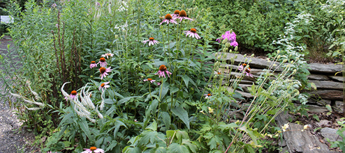 Native Planters