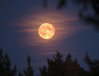 Park after Dark- Moonwalk + Stargazing