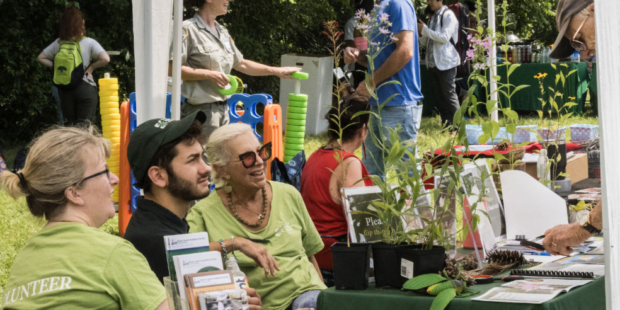 Pollinator Palooza