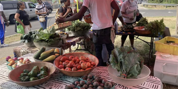 Sankofa Farm Stand at Bartram’s Village