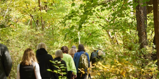 Second Saturday Guided Hike Series