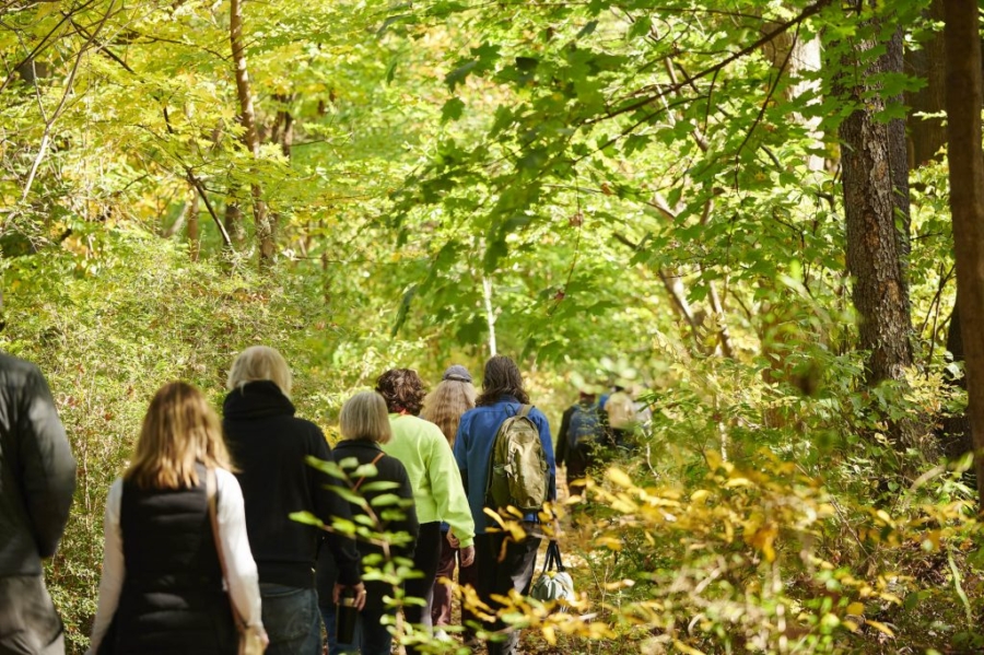 Second Saturday Guided Hike Series: Tree Tour with Andrew Kirkpatrick
