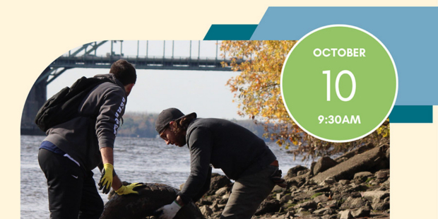 Shoreline Clean up