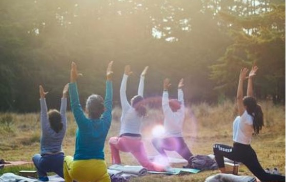 Greenhouse Yoga at the Horticulture Center