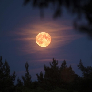 Full moon glowing in a purple night sky