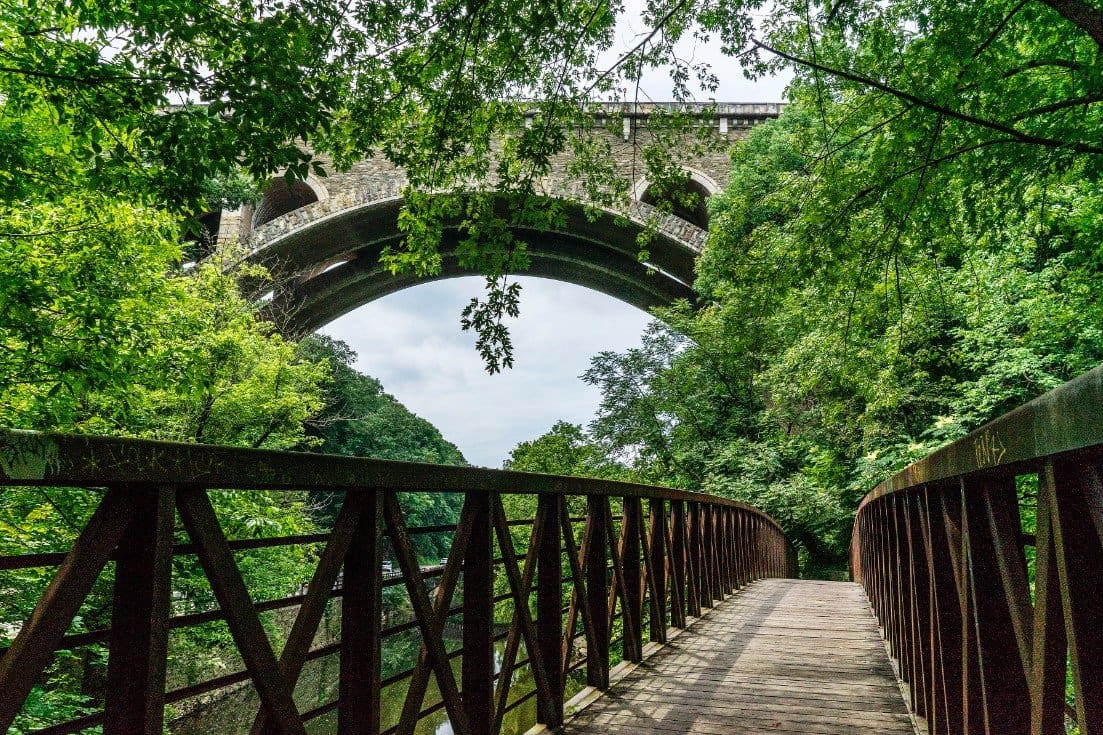 Earth Day Creek Clean-Up